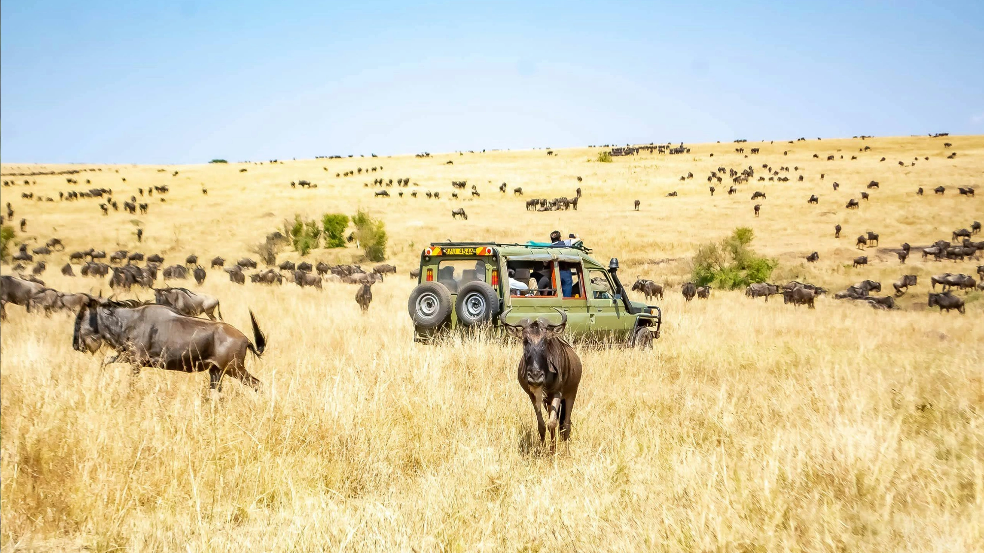 Between Fire and Rain