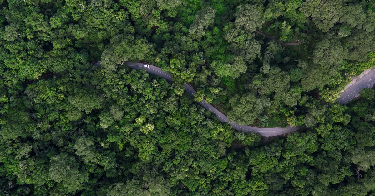 Rwanda — mist-shrouded forests and rolling hills