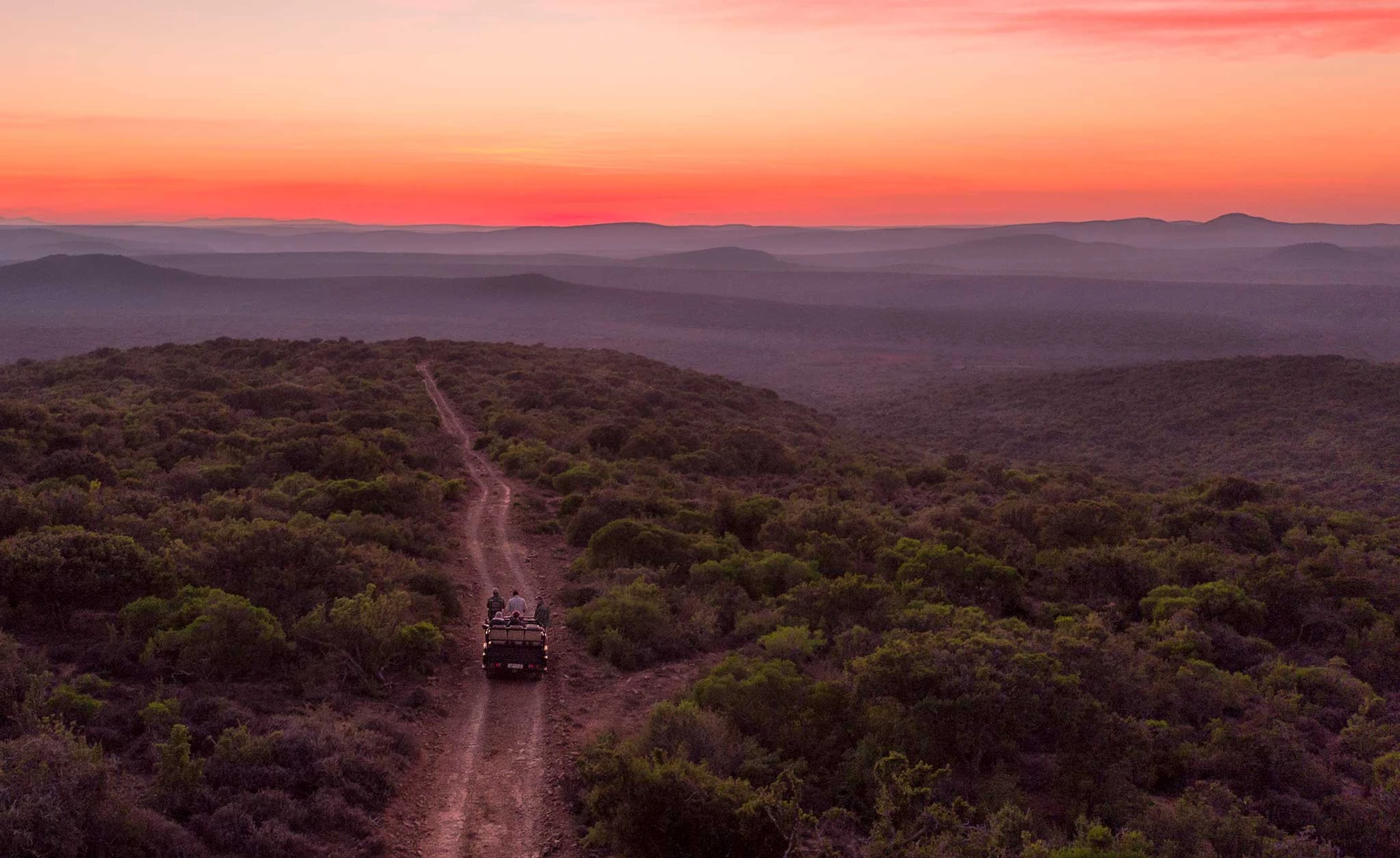 Aerial view of a safari vehicle on a game drive at golden hour